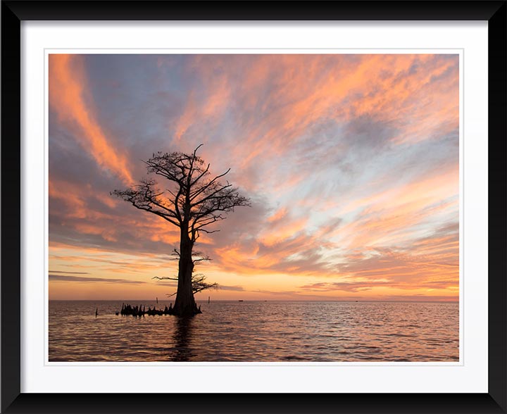 "Holy Ground" by Eve Turek Photography