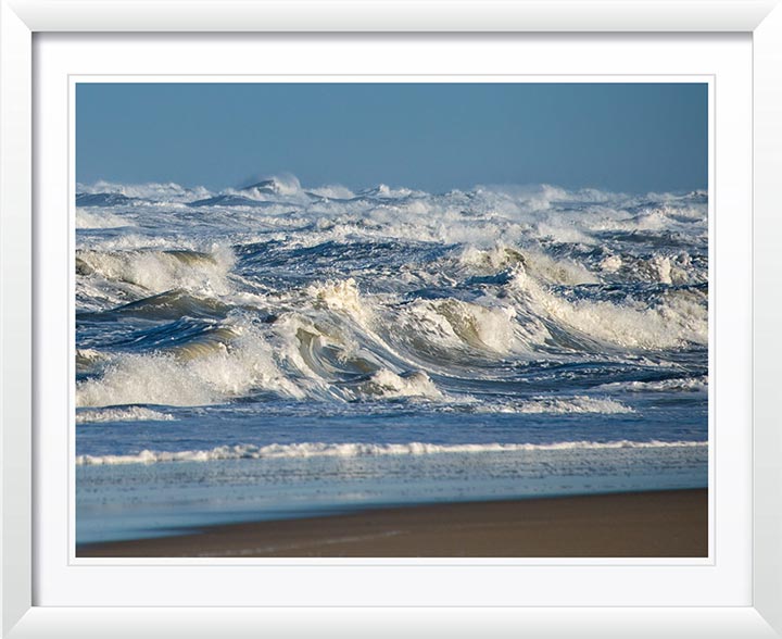 "Surfs Up" by Eve Turek Photography