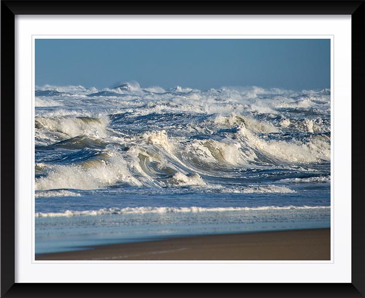 "Surfs Up" by Eve Turek Photography