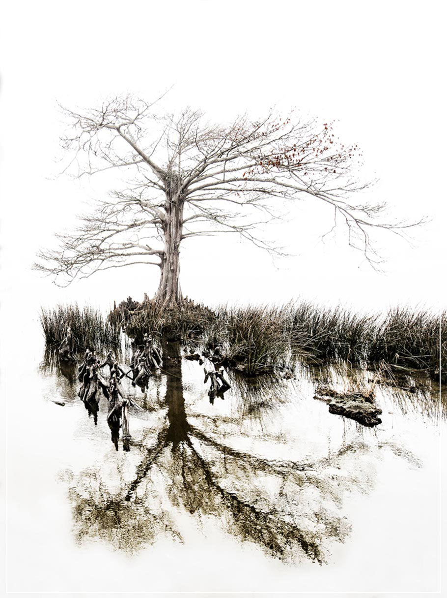 "Aging Gracefully" by Eve Turek Photography