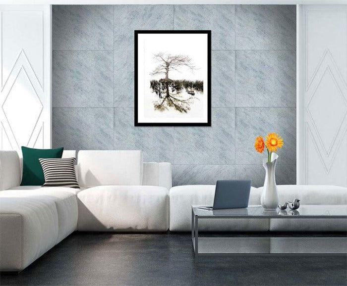 "Aging Gracefully" by Eve Turek Photography