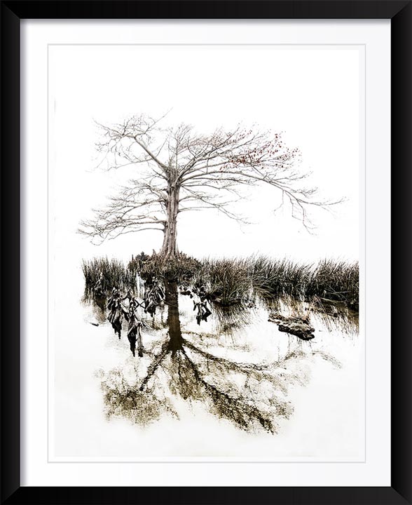 "Aging Gracefully" by Eve Turek Photography