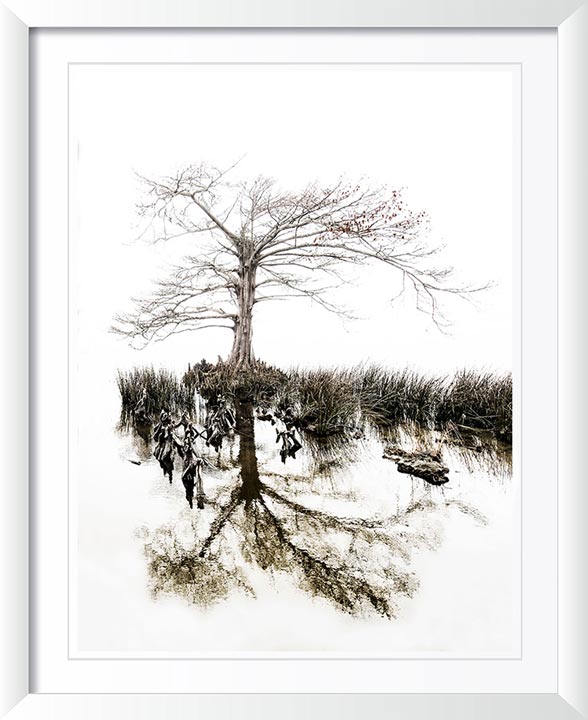 "Aging Gracefully" by Eve Turek Photography