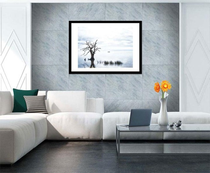 "Sentinel Cypress" by Eve Turek Photography