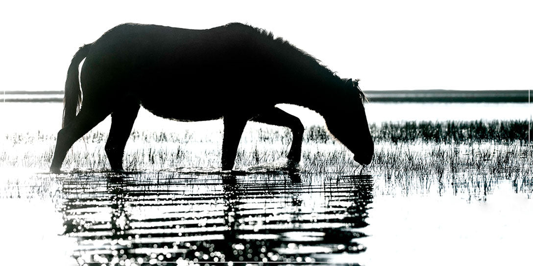 "Morning Impression" by Eve Turek Photography