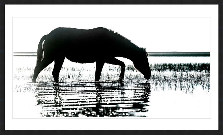 "Morning Impression" by Eve Turek Photography