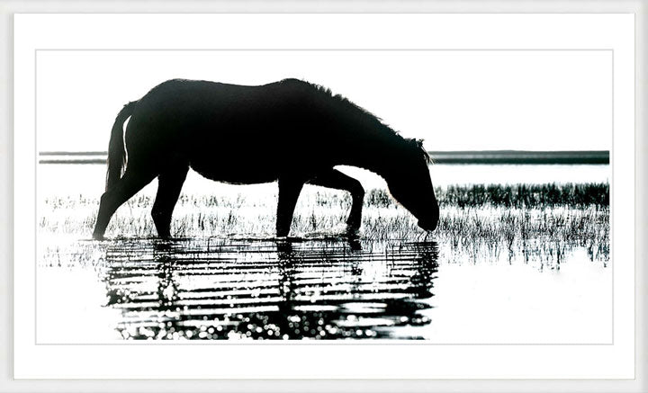 "Morning Impression" by Eve Turek Photography