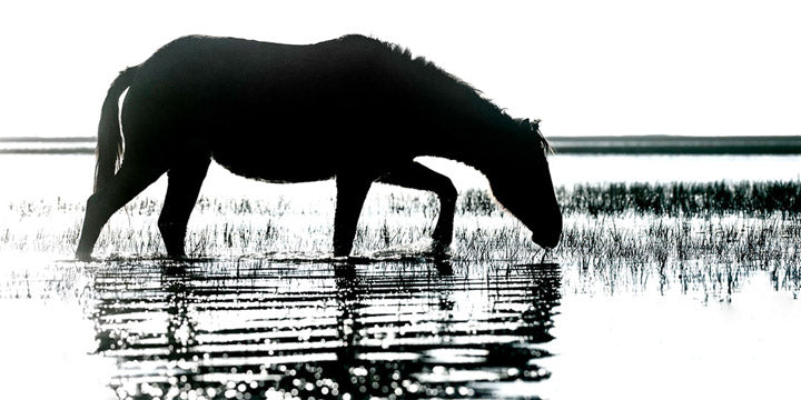 "Morning Impression" by Eve Turek Photography