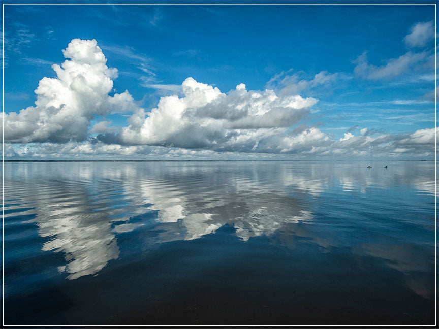 "Bluebird Morning" by Eve Turek Photography