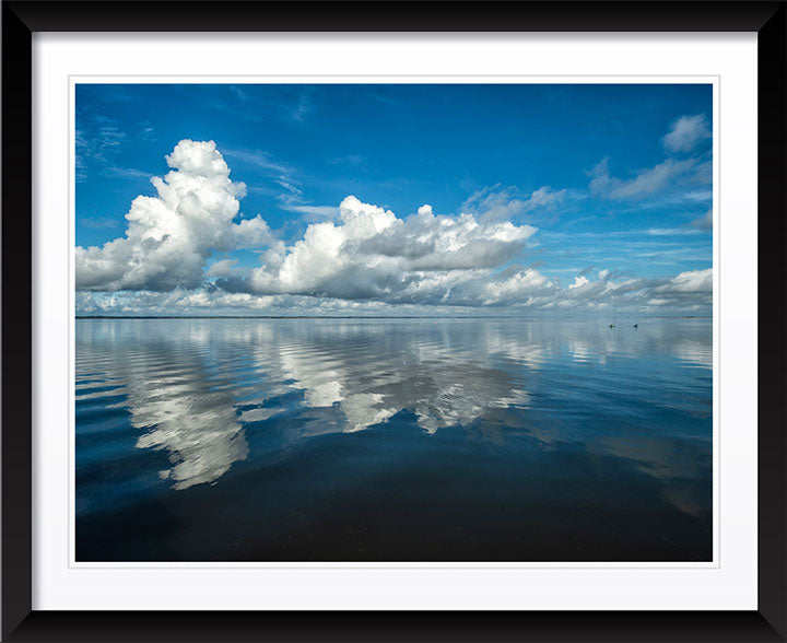"Bluebird Morning" by Eve Turek Photography