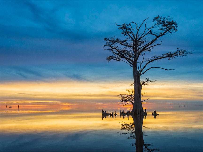 "Celebrate the Evening" by Eve Turek Photography