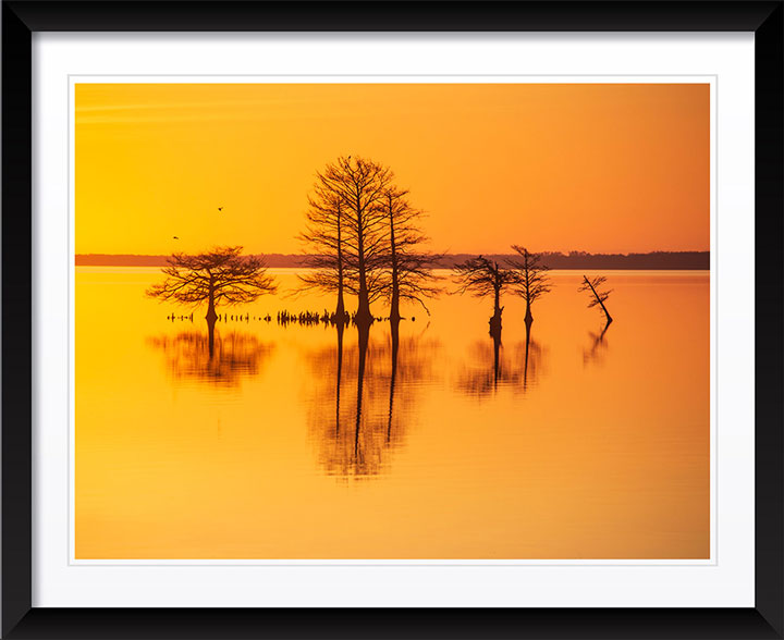 "Good As Gold" by Eve Turek Photography