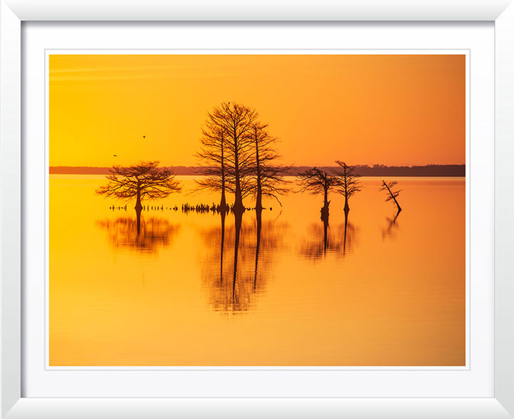 "Good As Gold" by Eve Turek Photography