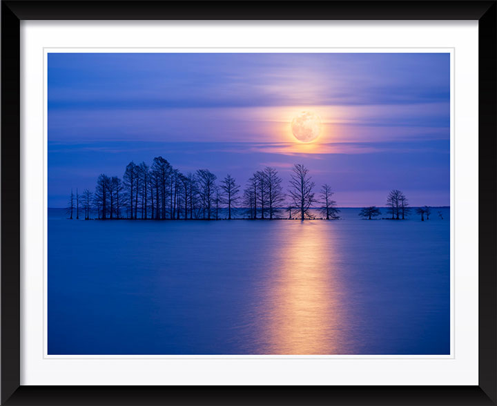 "Moonlight Sonata" by Eve Turek Photography