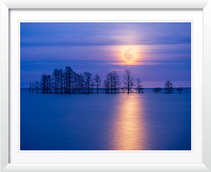 "Moonlight Sonata" by Eve Turek Photography