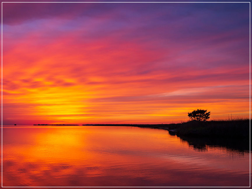 "Crescendo" by Eve Turek Photography