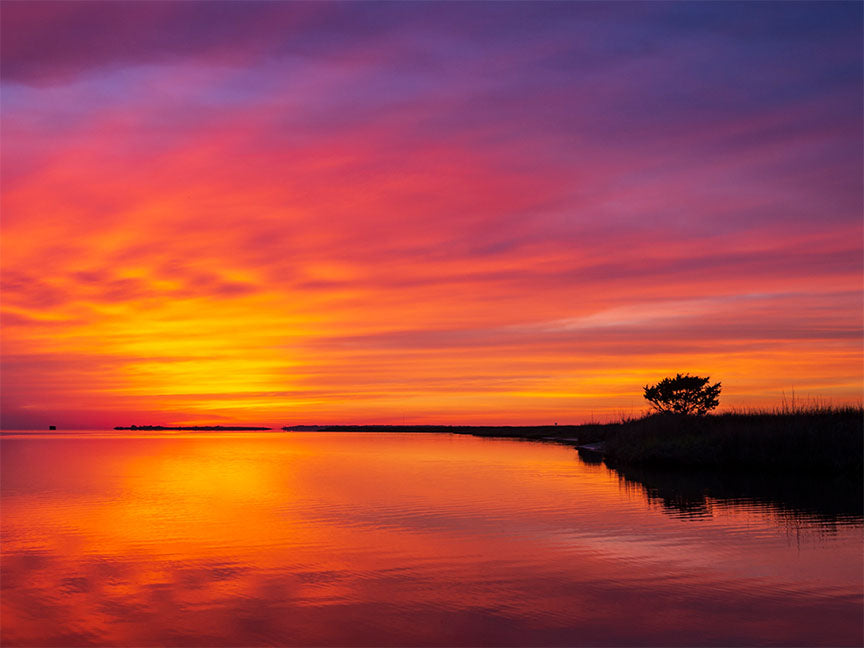 "Crescendo" by Eve Turek Photography