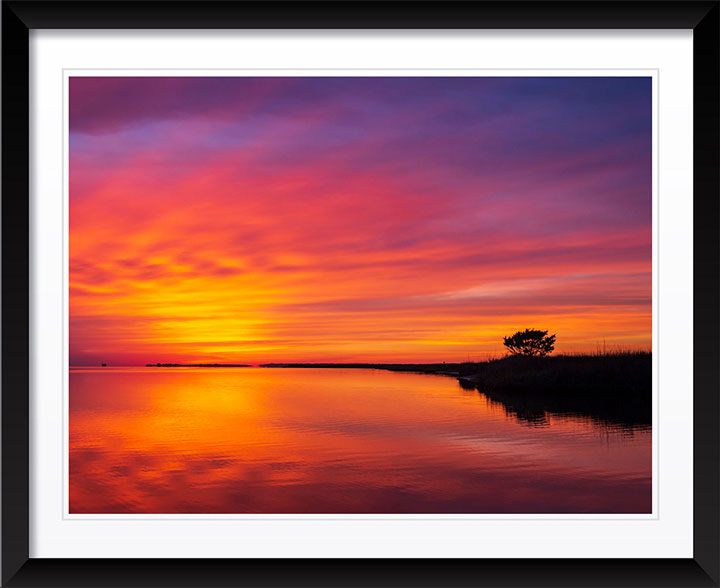 "Crescendo" by Eve Turek Photography