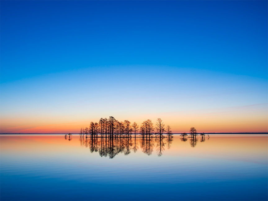 "Anticipation" by Eve Turek Photography