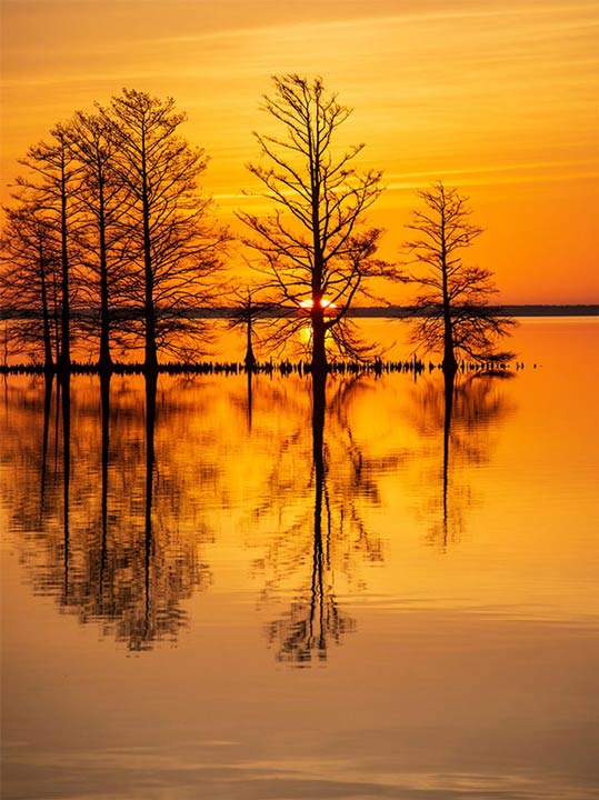 "Rise and Shine" by Eve Turek Photography