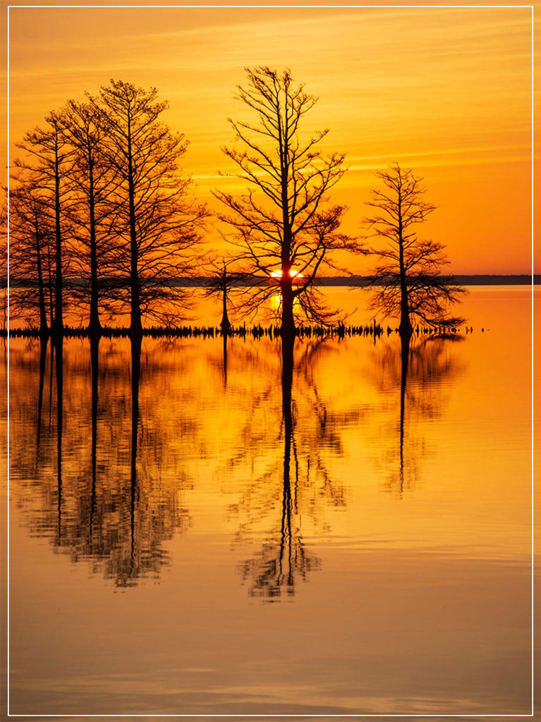 "Rise and Shine" by Eve Turek Photography