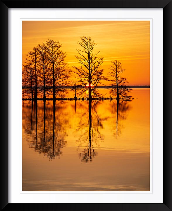 "Rise and Shine" by Eve Turek Photography