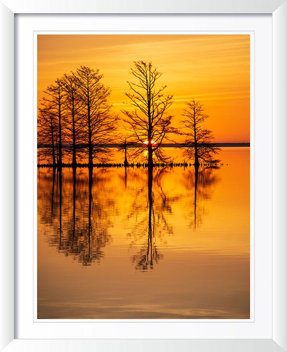 "Rise and Shine" by Eve Turek Photography