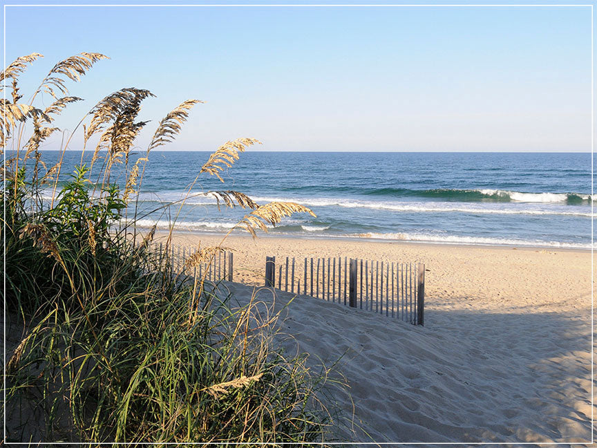 "Carolina Contentment" by Eve Turek Photography