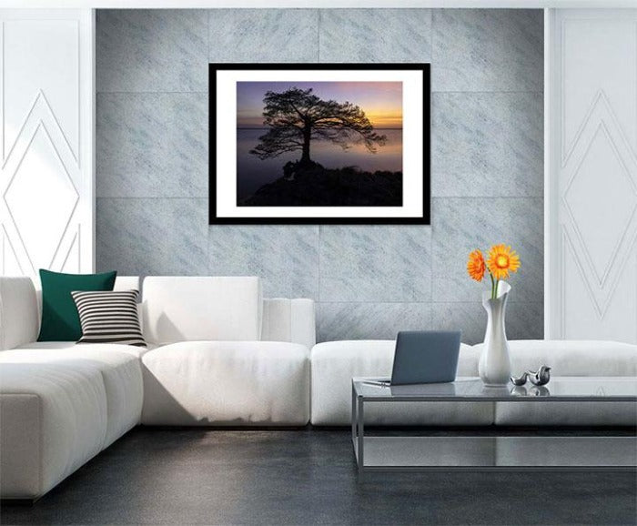 "Cypress Sunset" by Eve Turek Photography