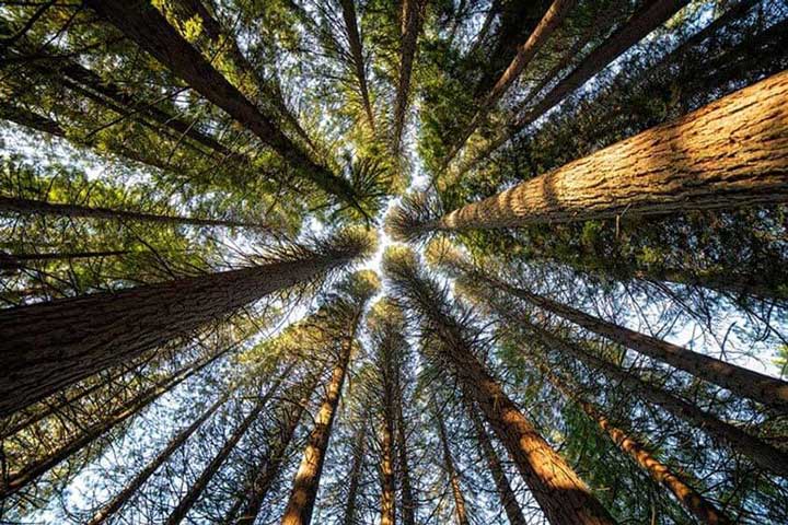 "Up There" by Joshua Johnston Photography