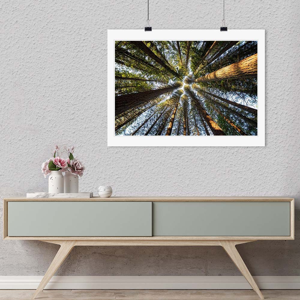 "Up There" by Joshua Johnston Photography-Artography Limited