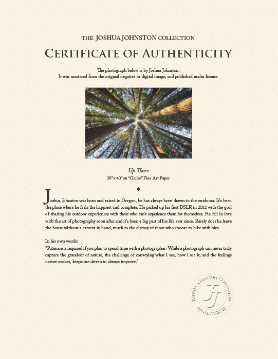 "Up There" by Joshua Johnston Photography-Artography Limited