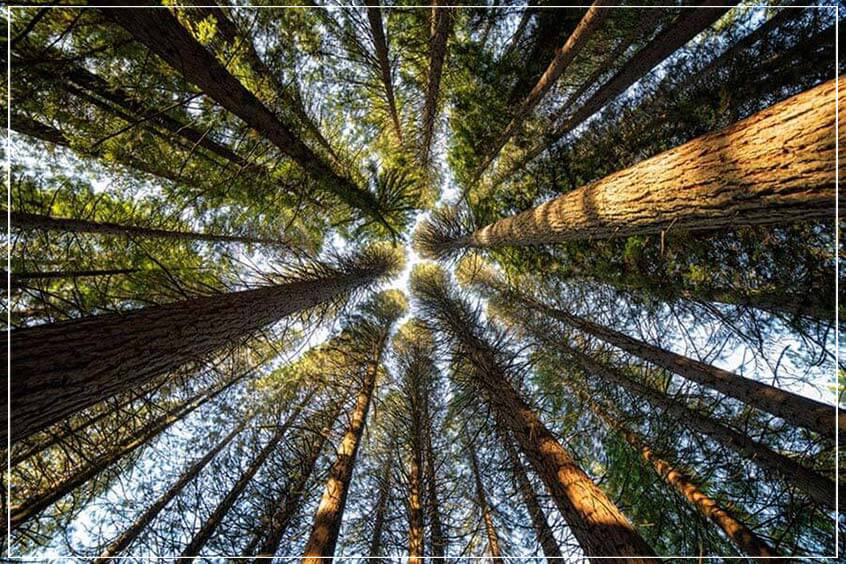 "Up There" by Joshua Johnston Photography-Artography Limited