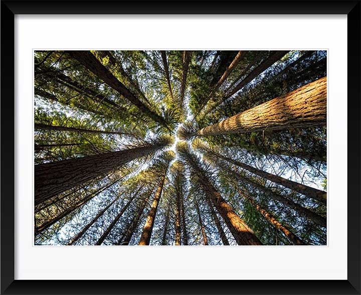 "Up There" by Joshua Johnston Photography