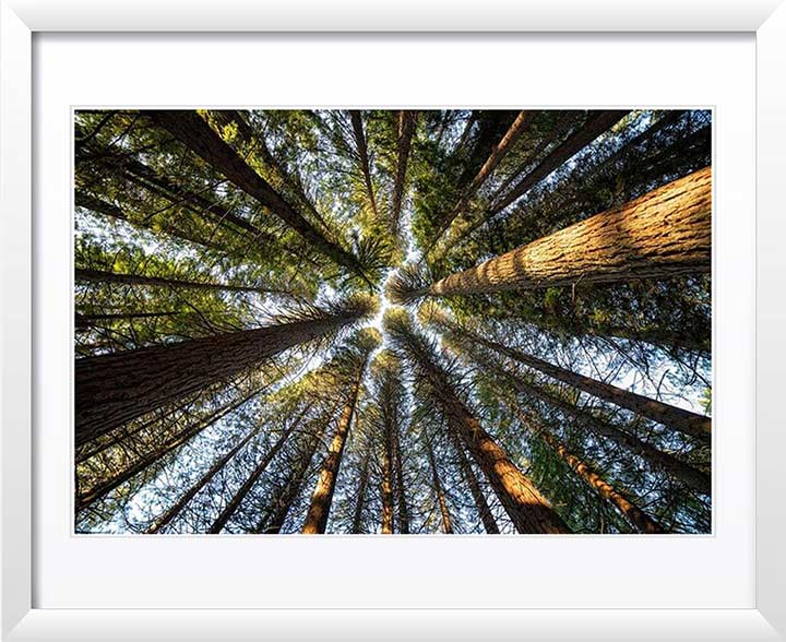 "Up There" by Joshua Johnston Photography