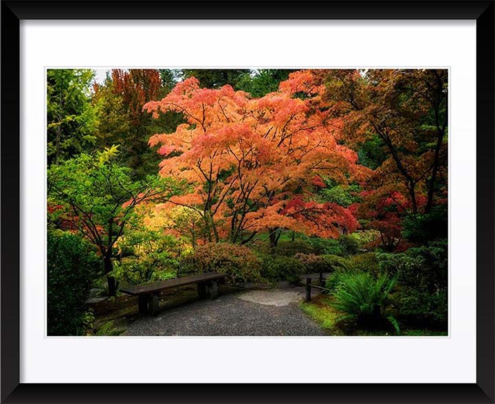 "Japanese Gardens" by Joshua Johnston Photography