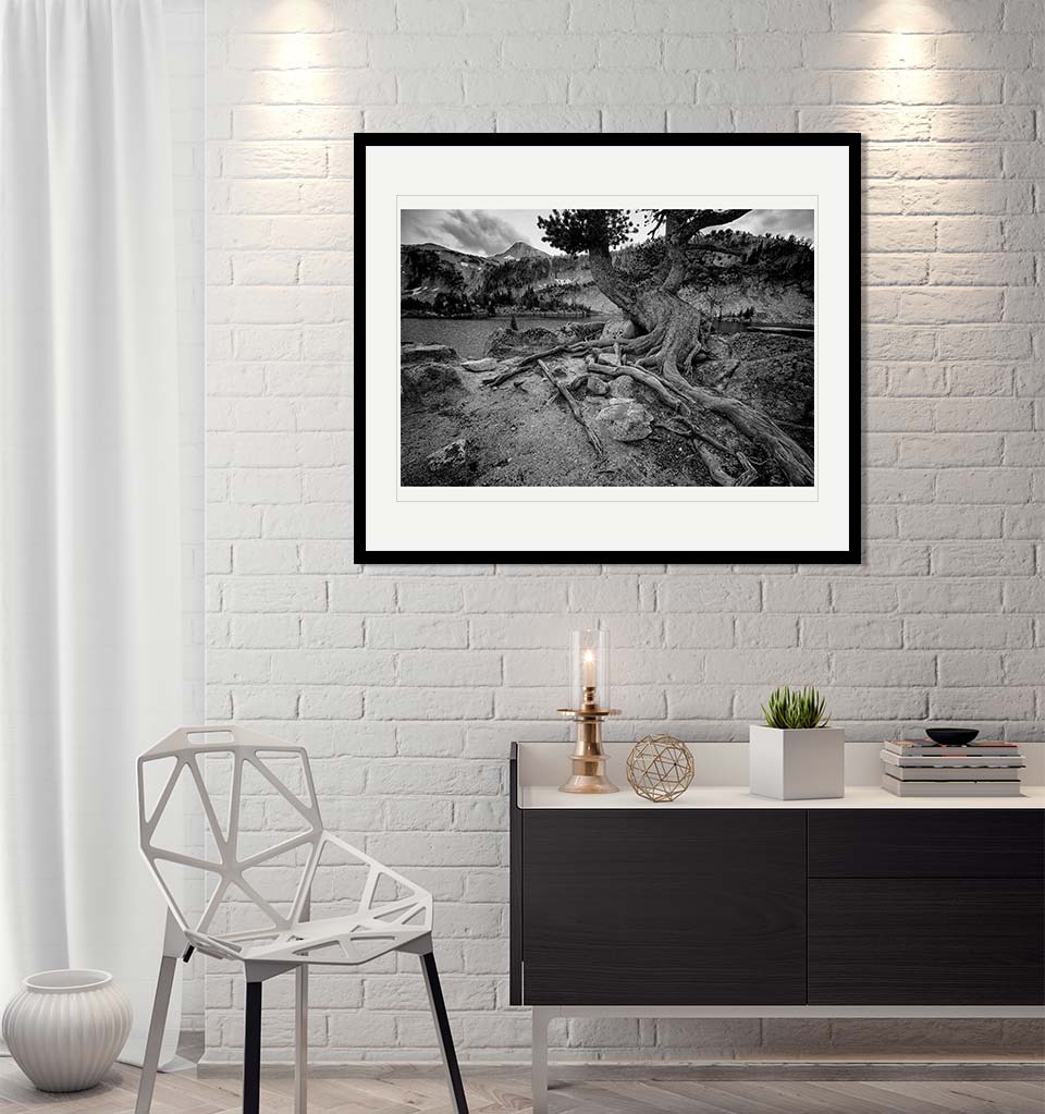 "Timeless" by Joshua Johnston Photography-Artography Limited