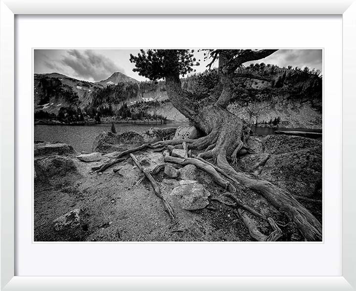 "Timeless" by Joshua Johnston Photography