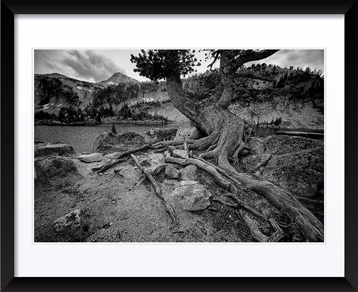 "Timeless" by Joshua Johnston Photography