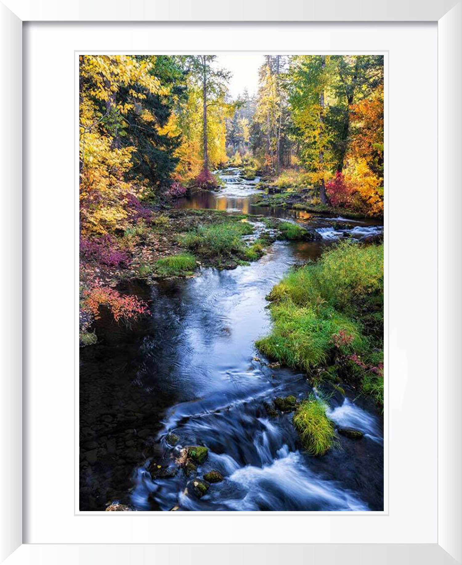 "Autumn Colors" by Joshua Johnston Photography