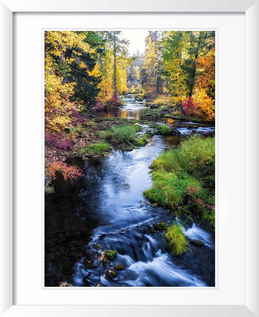 "Autumn Colors" by Joshua Johnston Photography