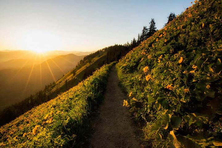 "An evening walk" by Joshua Johnston Photography