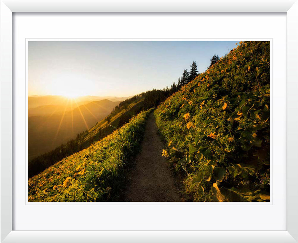 "An evening walk" by Joshua Johnston Photography