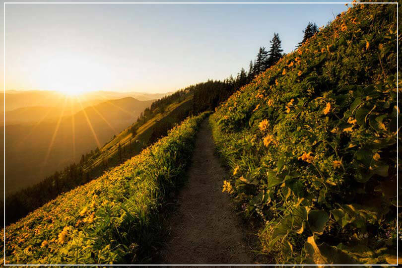 "An evening walk" by Joshua Johnston Photography-Artography Limited