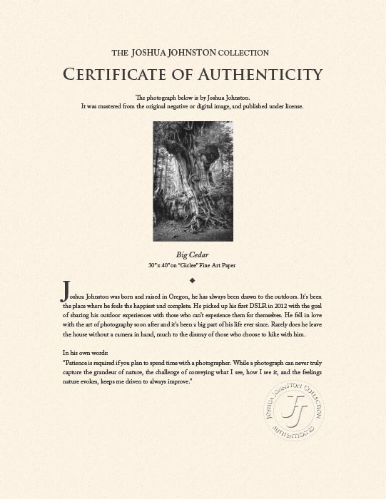 "Big Cedar" by Joshua Johnston Photography-Artography Limited