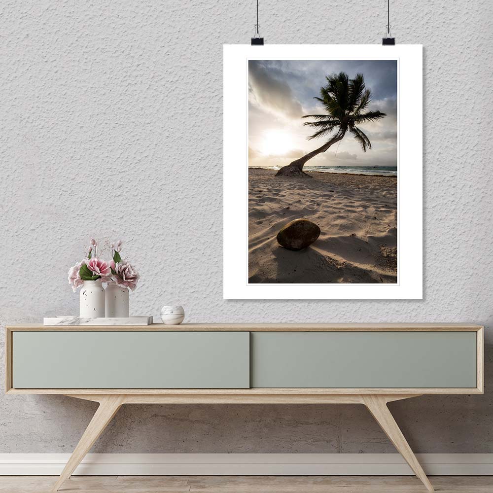 "Coconut Paradise" by Joshua Johnston Photography-Artography Limited