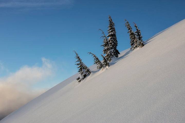 "Family" by Joshua Johnston Photography