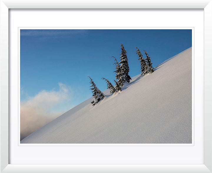 "Family" by Joshua Johnston Photography