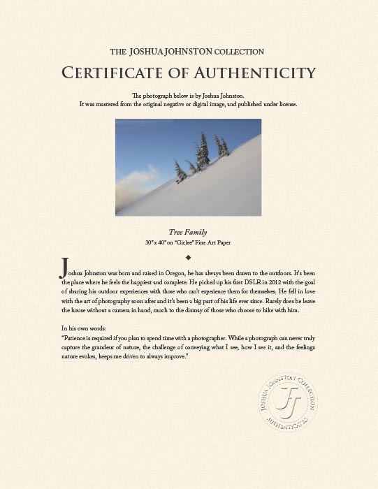 "Family" by Joshua Johnston Photography-Artography Limited