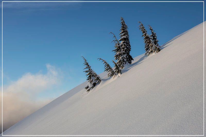 "Family" by Joshua Johnston Photography-Artography Limited